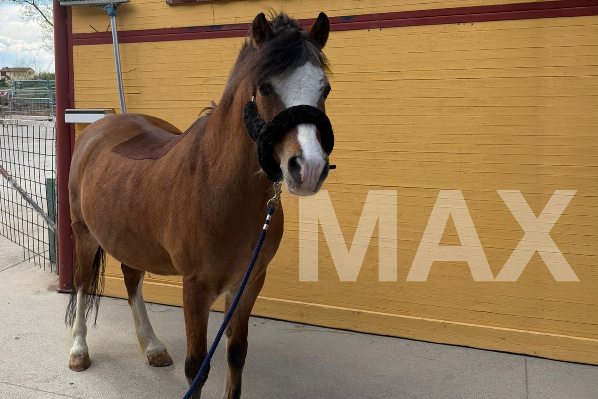 MAX